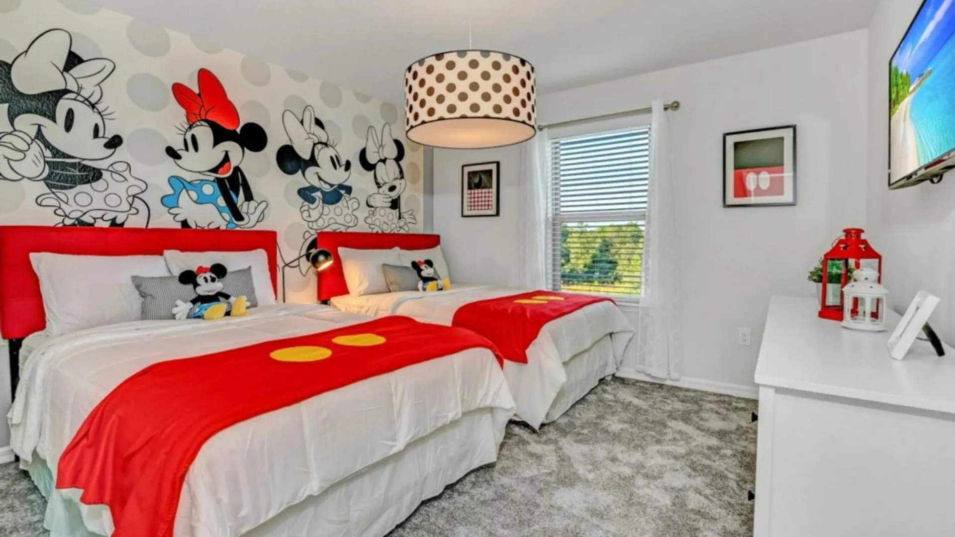 Jimmy Cricket New Themed House