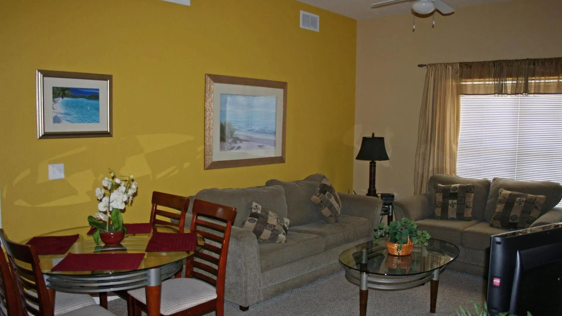 Apartment Florida And Elite Homes