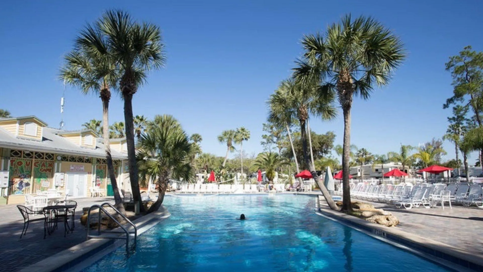 Tropical Palms & Campground *