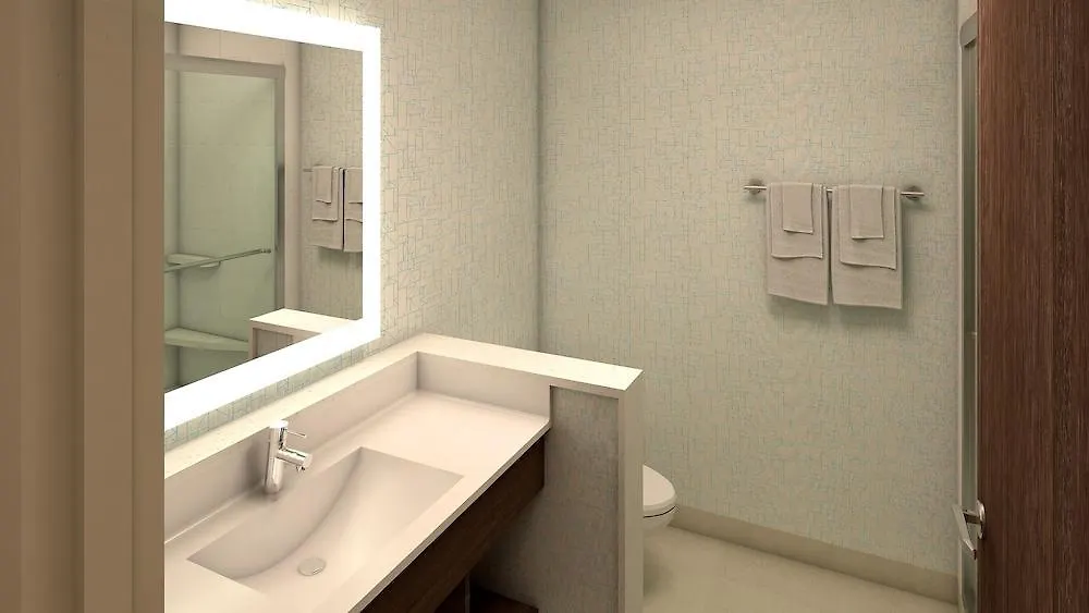 Hotel Express & S Buena Vista By Ihg Kissimmee