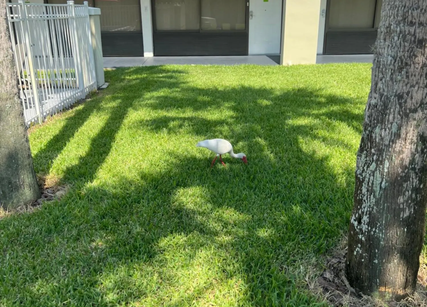 Near 4 People 3* Kissimmee