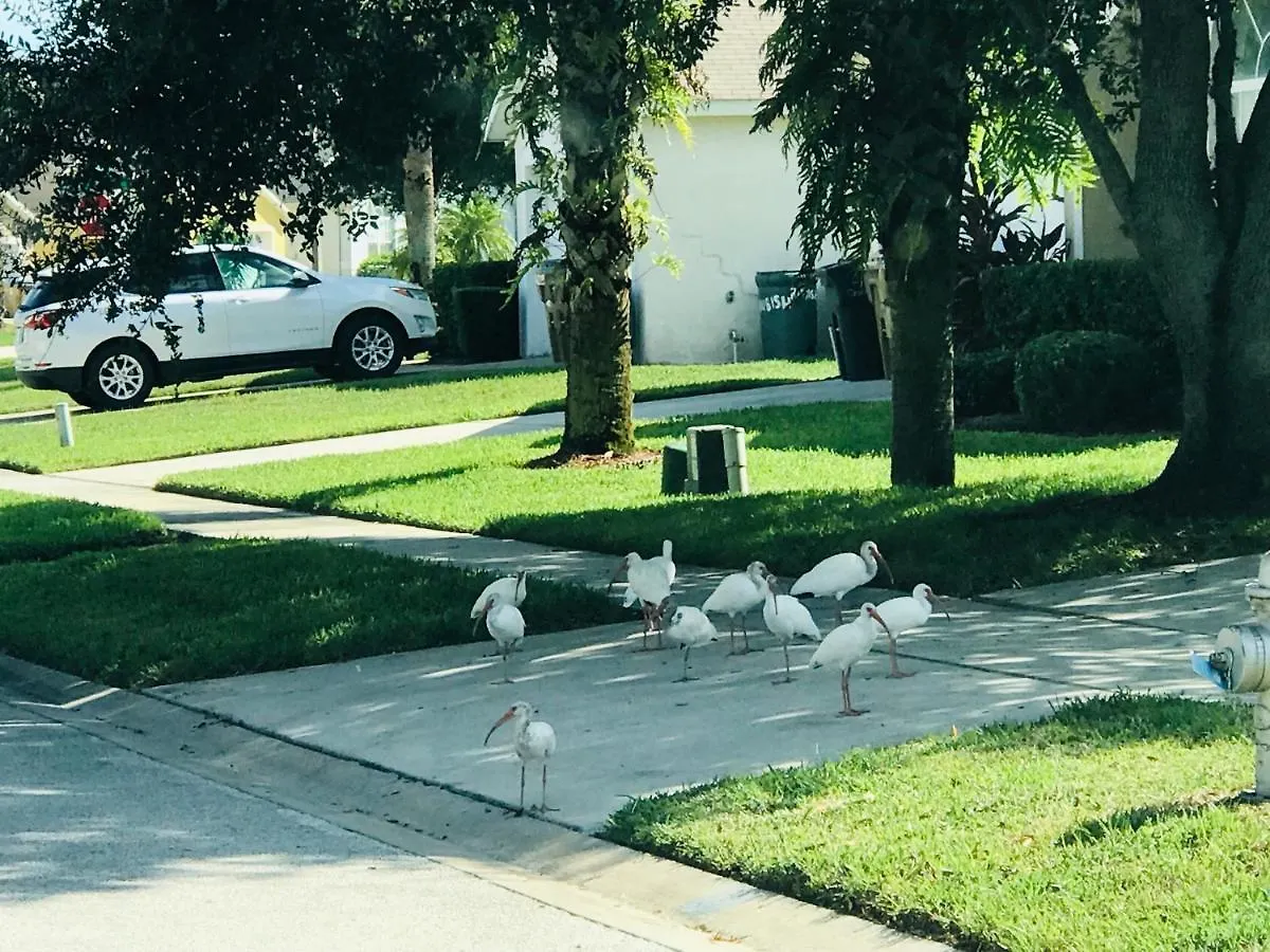 Near Disney Vacation Private In Shared
