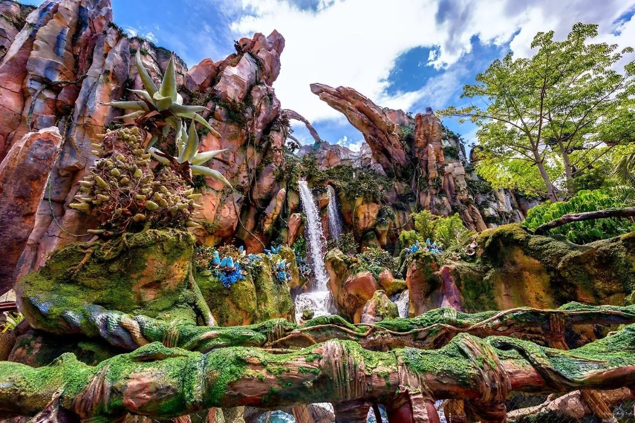 Near Disney Vacation Private In Shared Kissimmee