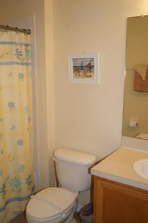 Pool, Sauna, Great Amenities, Frozen Themed