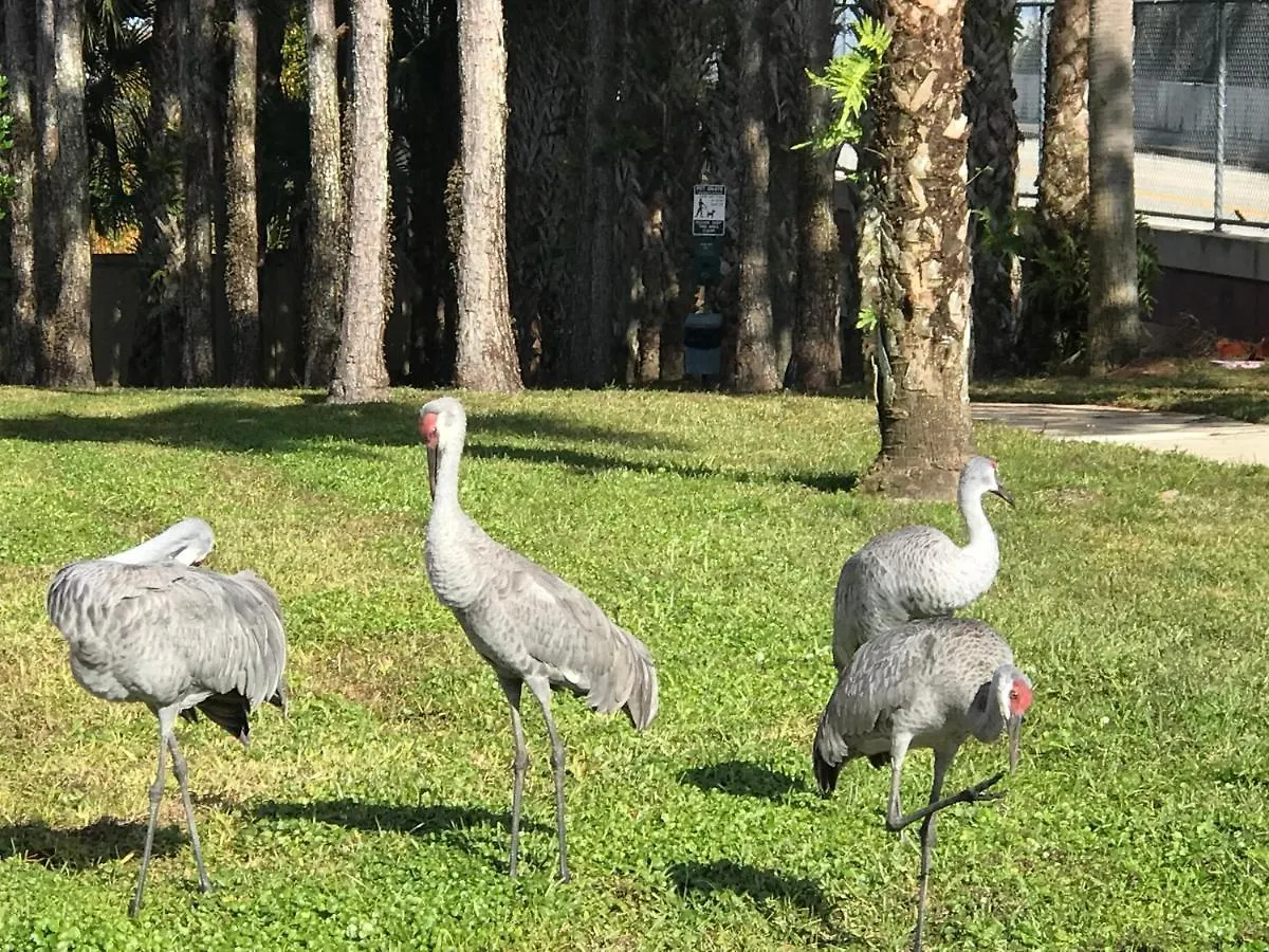 Near Disney Vacation Private In Shared *