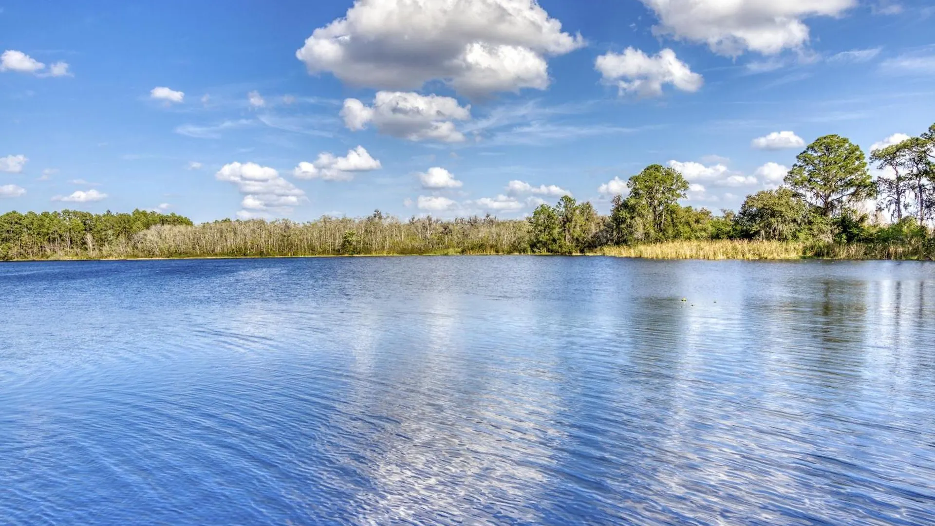 Apartment Bahama Bay 18702 Kissimmee