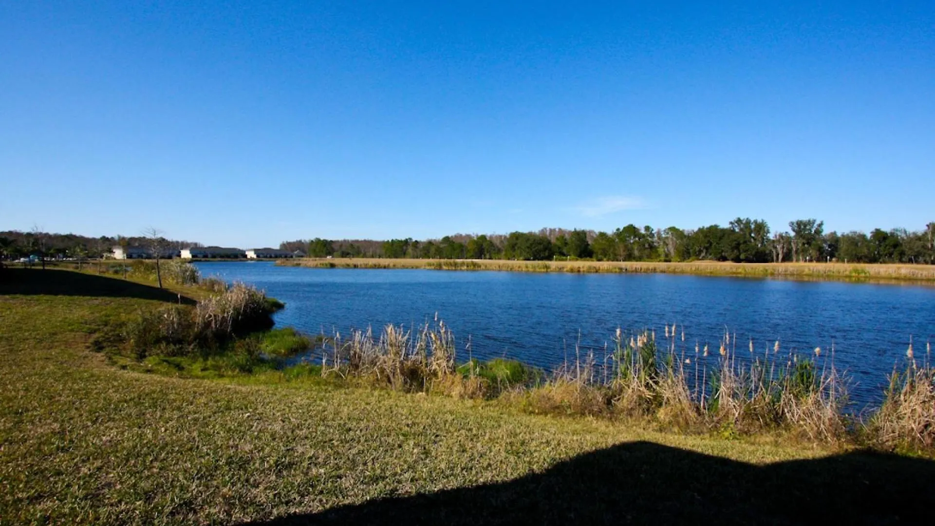2633 Trafalgar Village Kissimmee