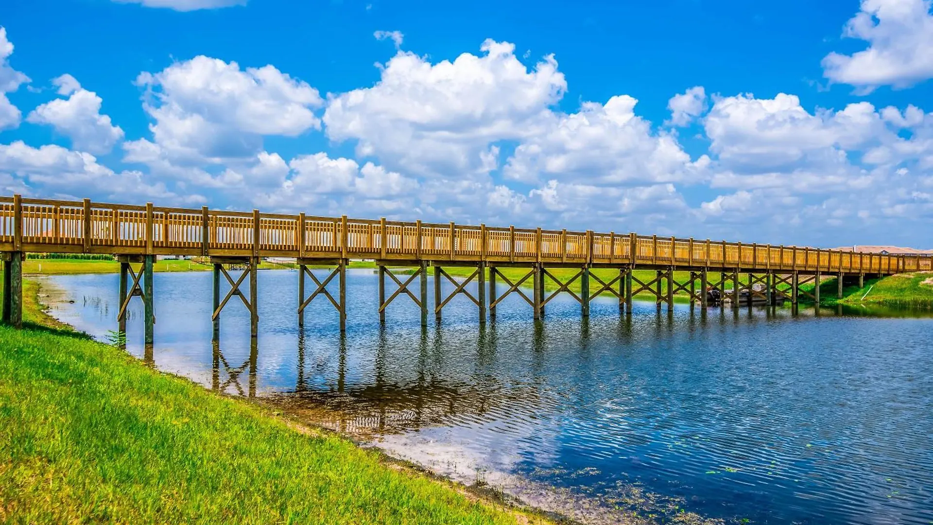 - Storey 1042 Kissimmee