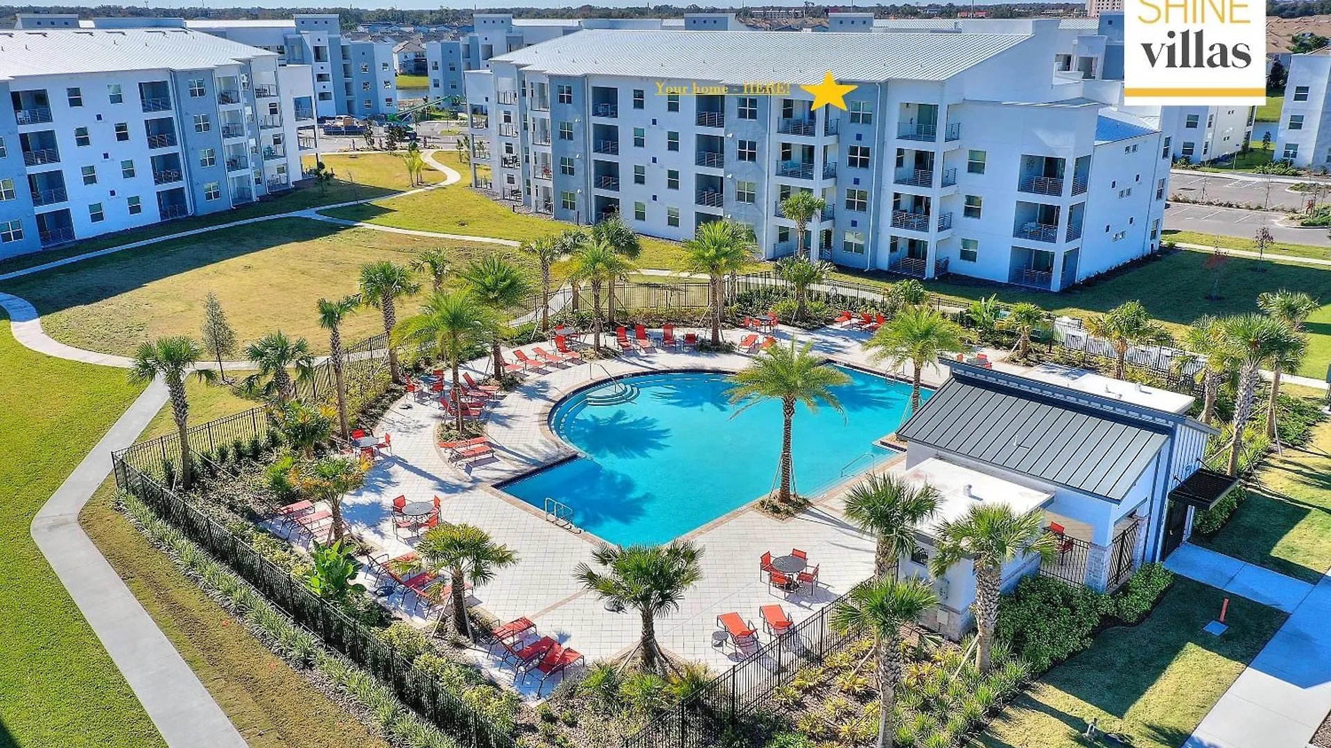 Blue Toucan At Storey By Shine 402 Kissimmee