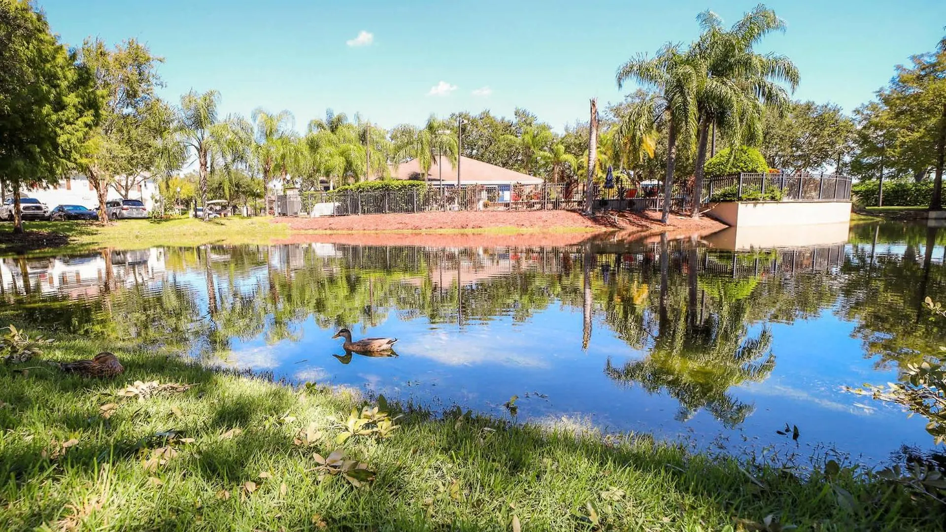 Family House With Amazing Themed Holiday home Kissimmee