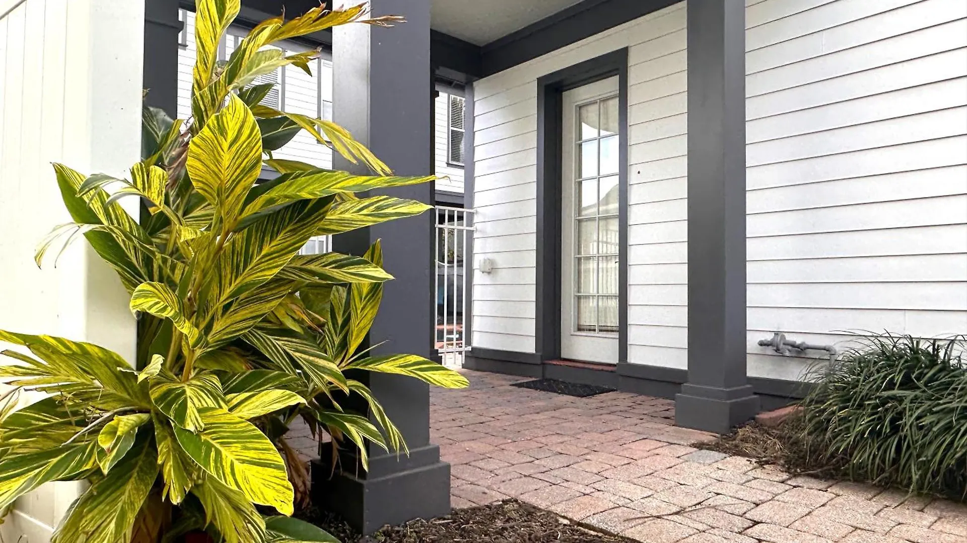 Cozy Reunion - Sleeps 4 Near - Ammenities - Golf Apartment *