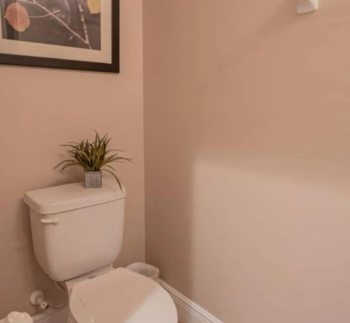 Dream Holiday home Kissimmee