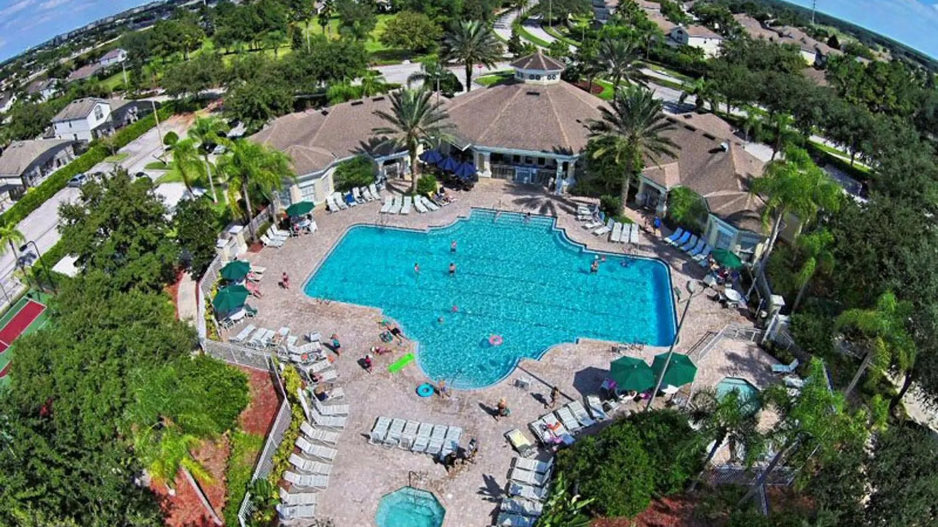 Silver Palms