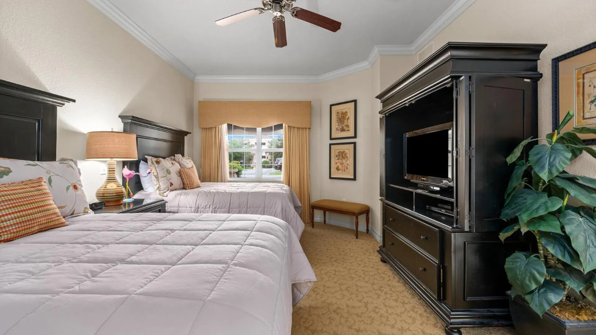 Exclusive 5 Star On Reunion And Orlando 5684 *