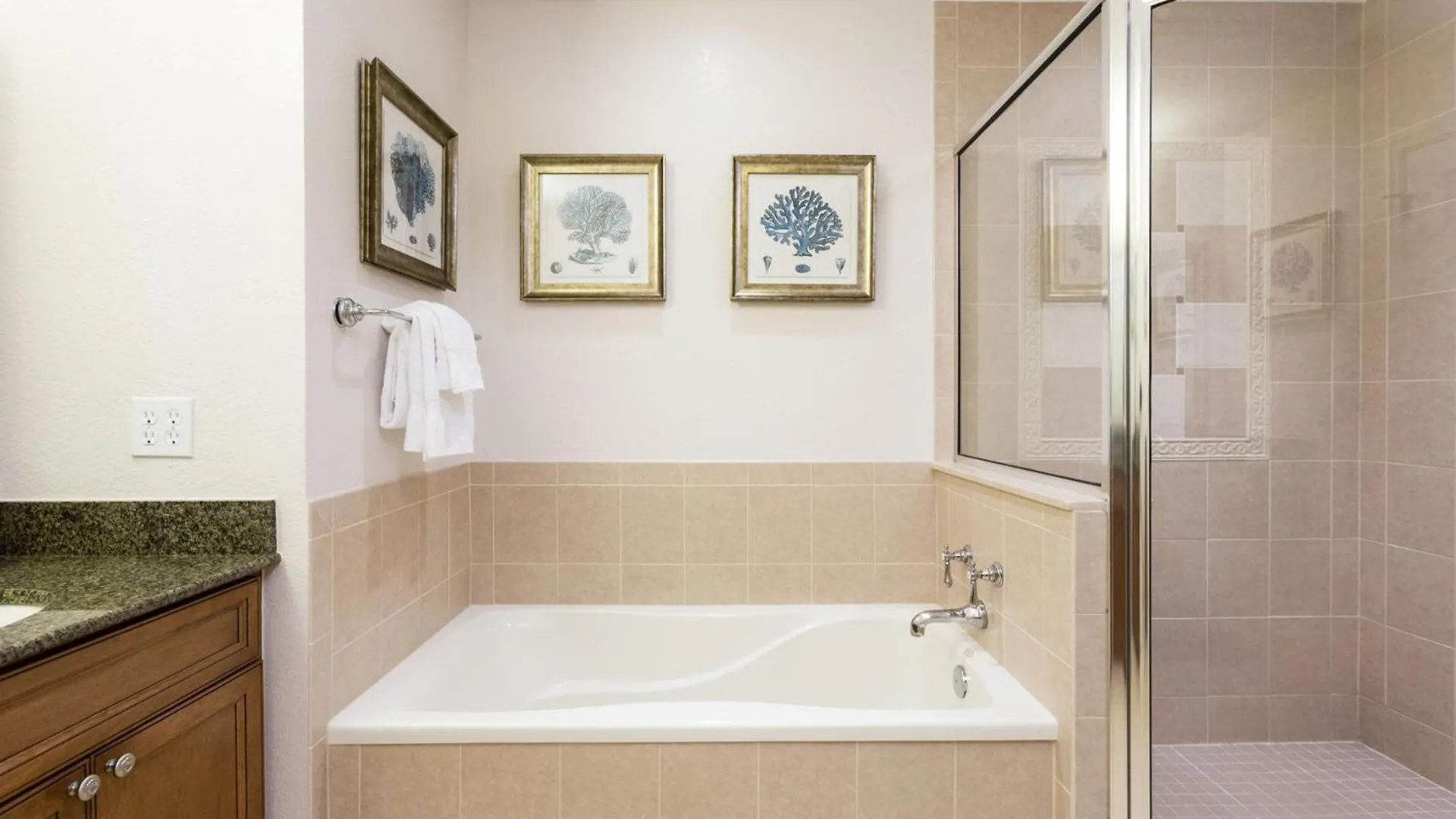Villa Luxury On Reunion And Orlando 5135 Kissimmee