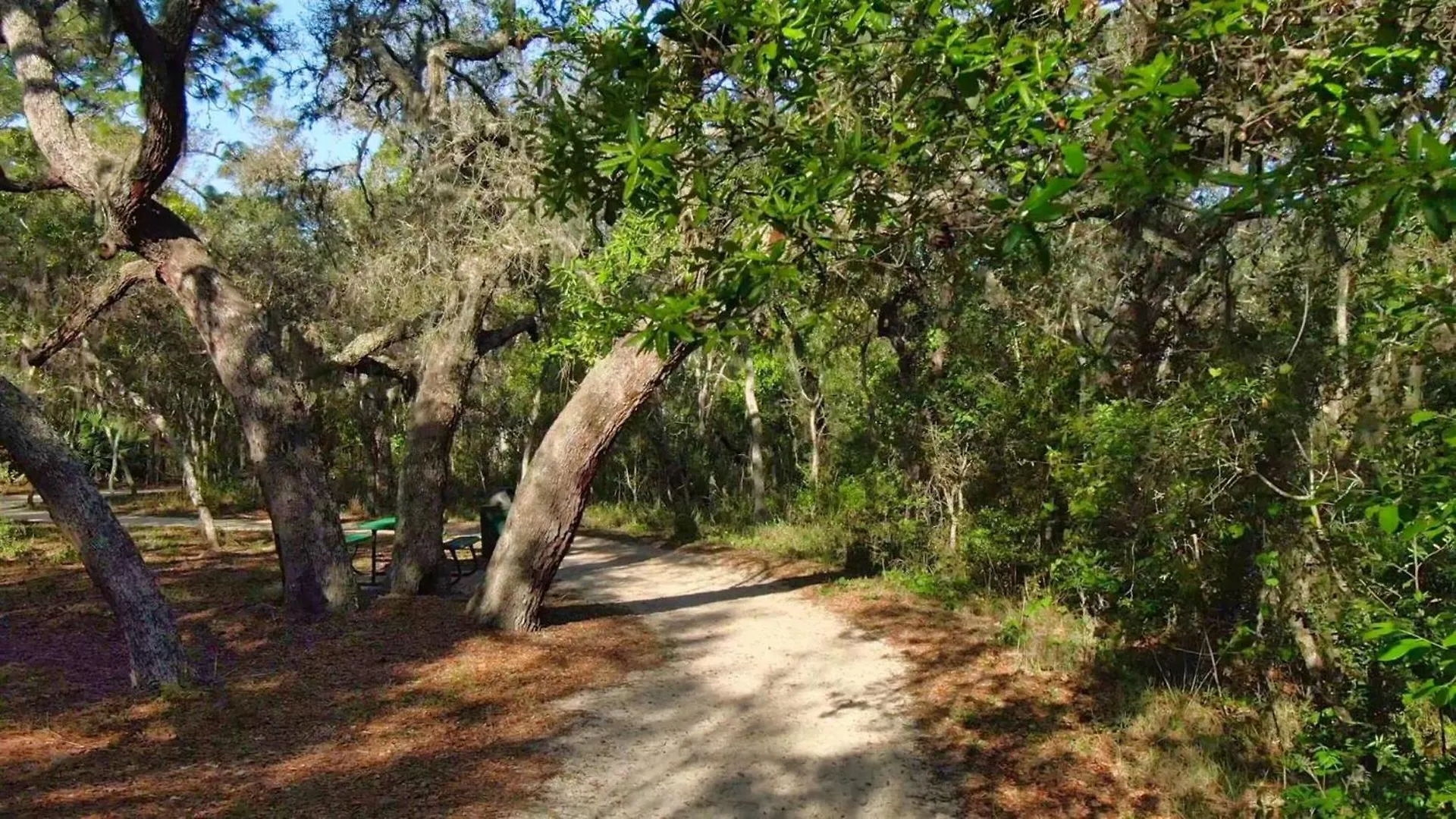 Perfect 5 Bedroom On Emerald Island Orlando 6301 Villa