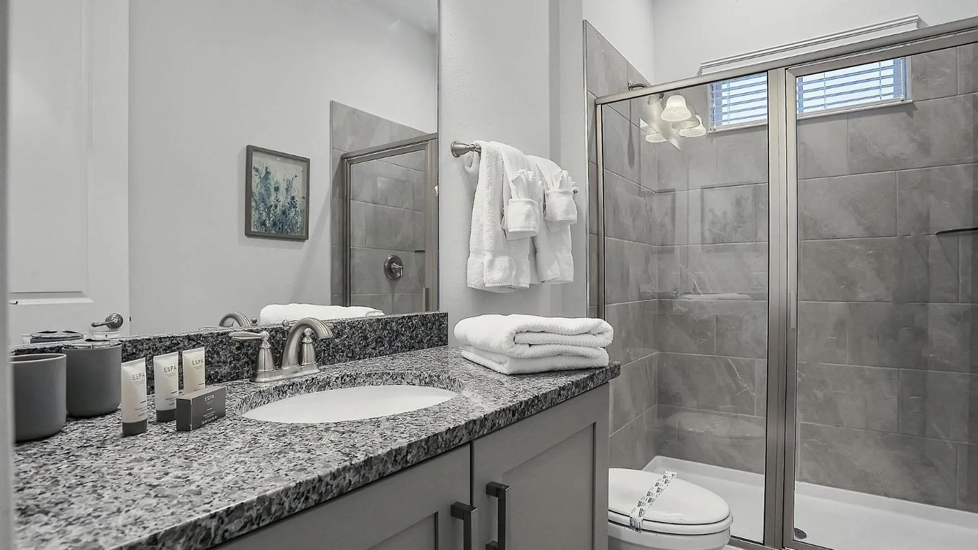 Stunning Dream In Orlando Oasis6560