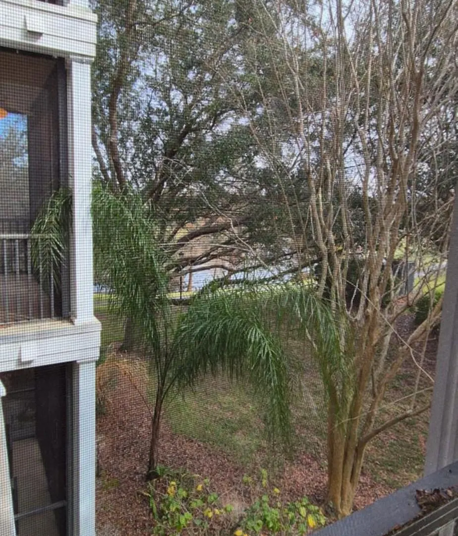 16109 Bahama Bay Apartment Kissimmee