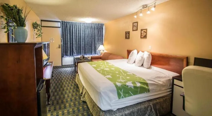 Hotel Quality Celebration