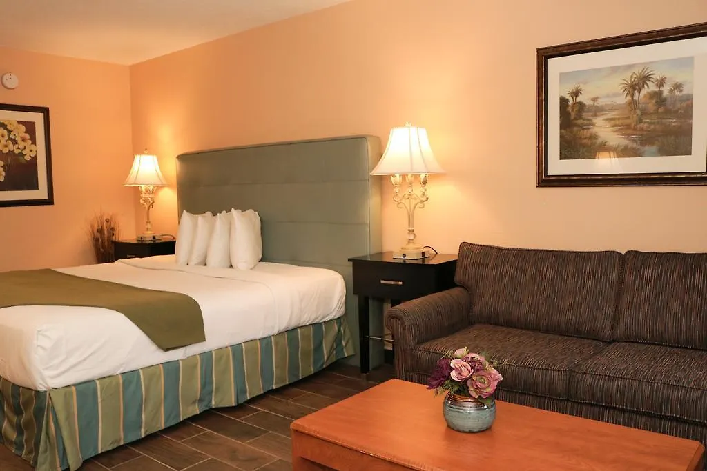 Shining Light & Hotel