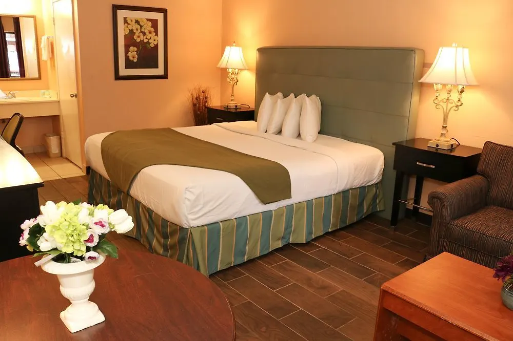 Hotel Shining Light & 2*