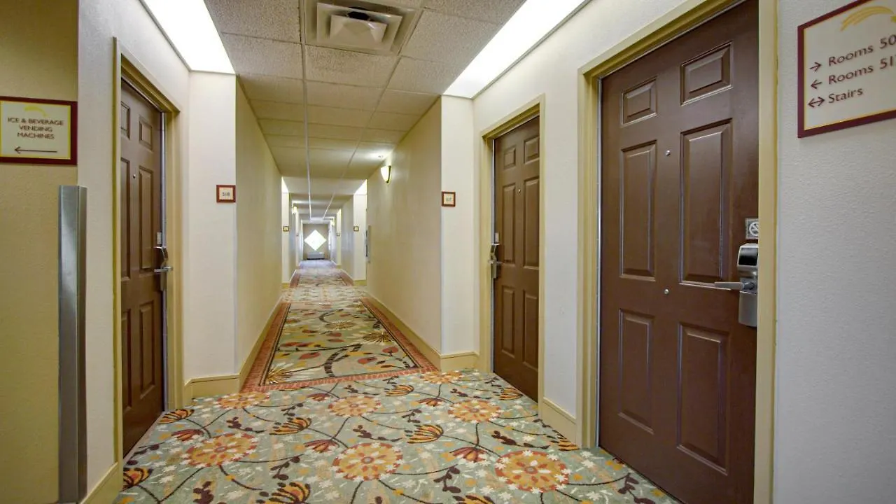 Galleria Palms Orlando - Free Theme Park Shuttles Hotel Four Corners