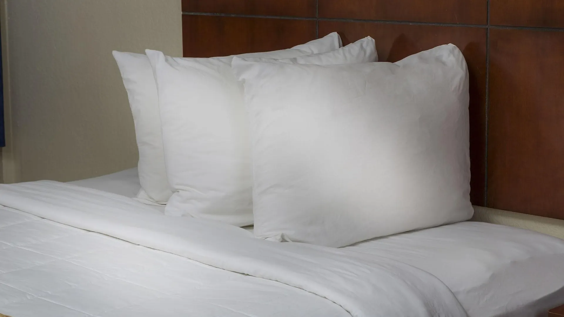 فندق Flamingo Express 3*