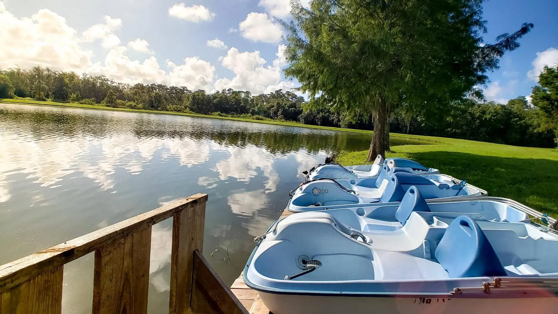 Relaxing 3br Haven For 8 At Seven Dwarfs Sd2610