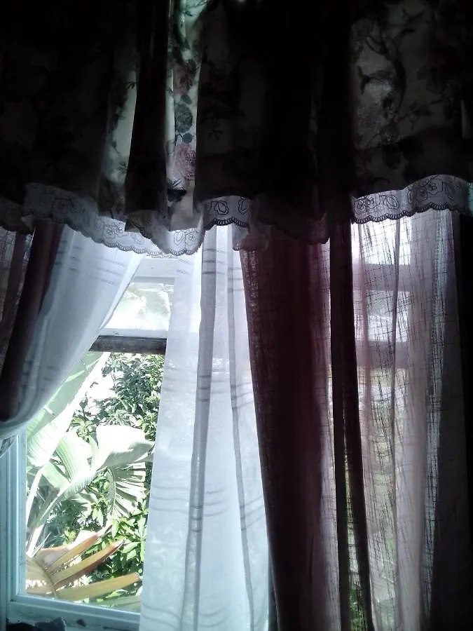 The Paradise Homestay Kissimmee