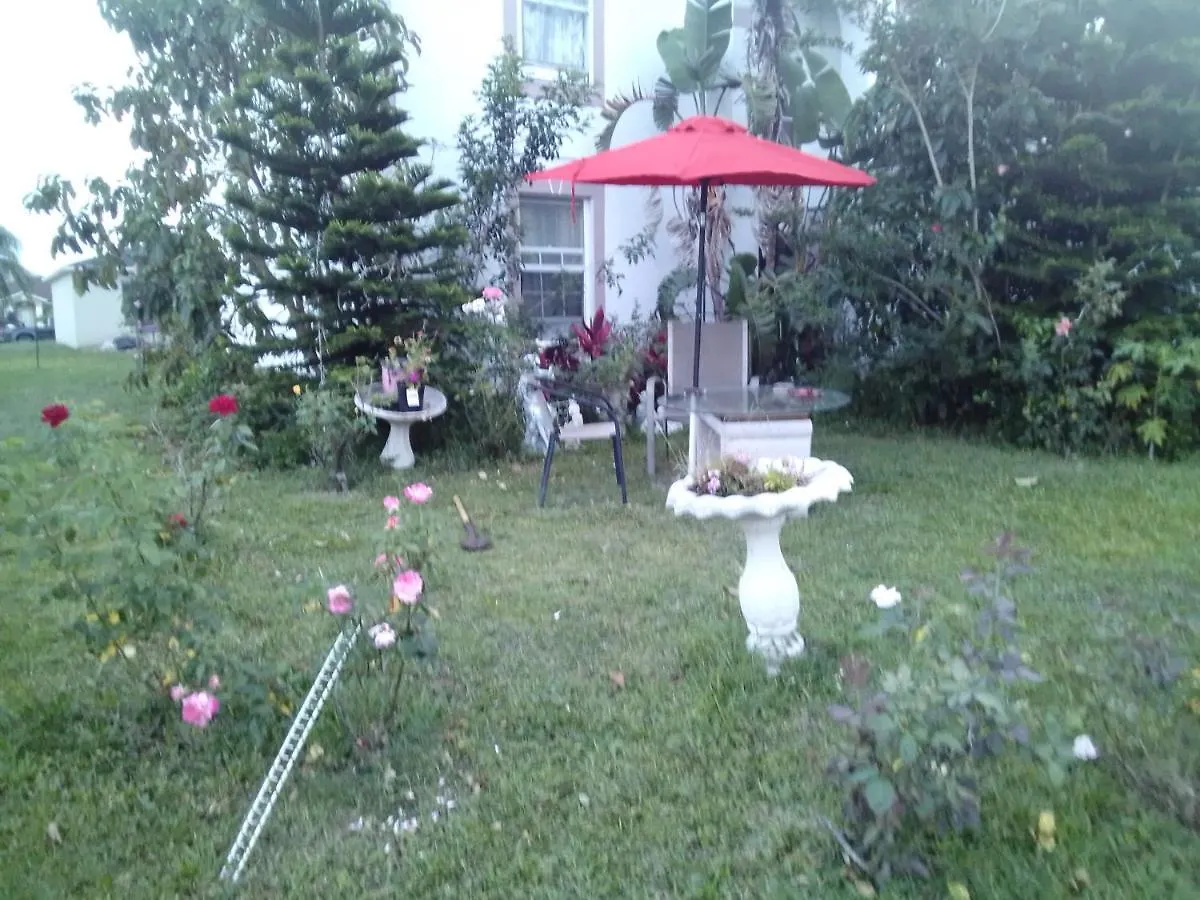 The Paradise
