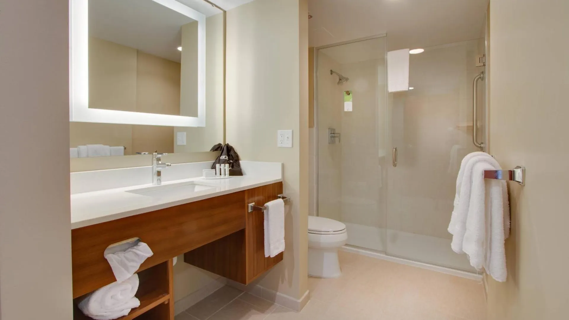 Springhill By Marriott Orlando Lake Buena Vista South 3*