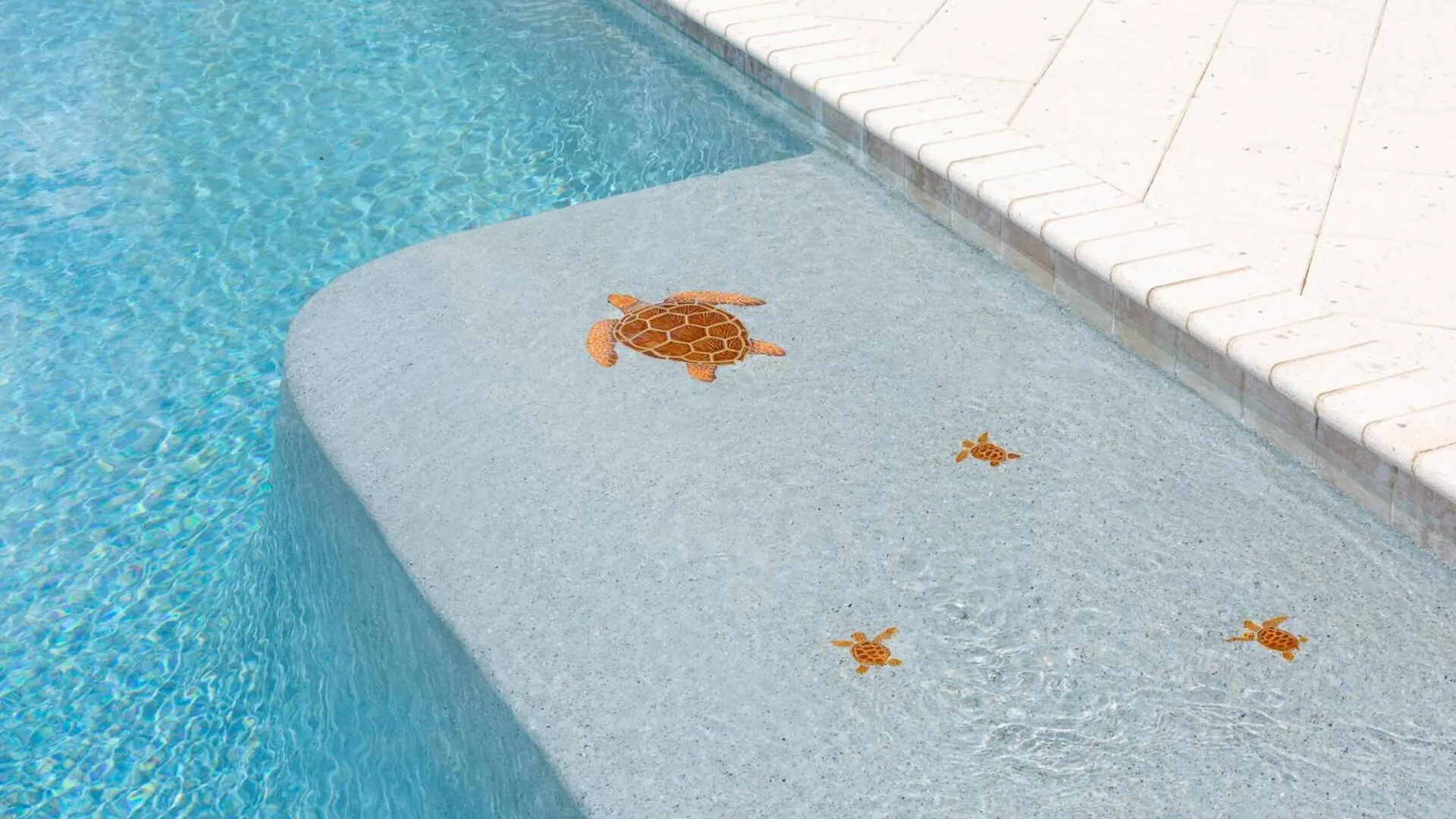 וילה Luxury With Private Pool On Reunion And Orlando 5079