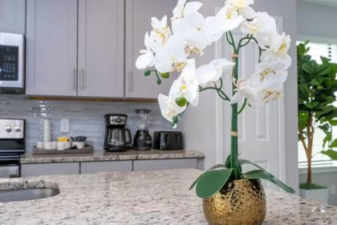 Beautiful 4 Bed3.5 Bath With Jacuzzi Kissimmee