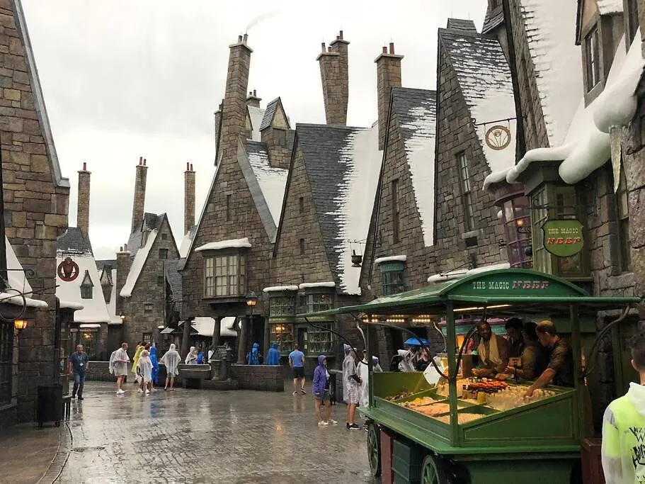 Magical 5-bedroom Near Universal's Wizarding World *