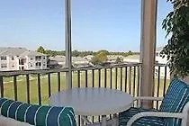 Windsor Palms