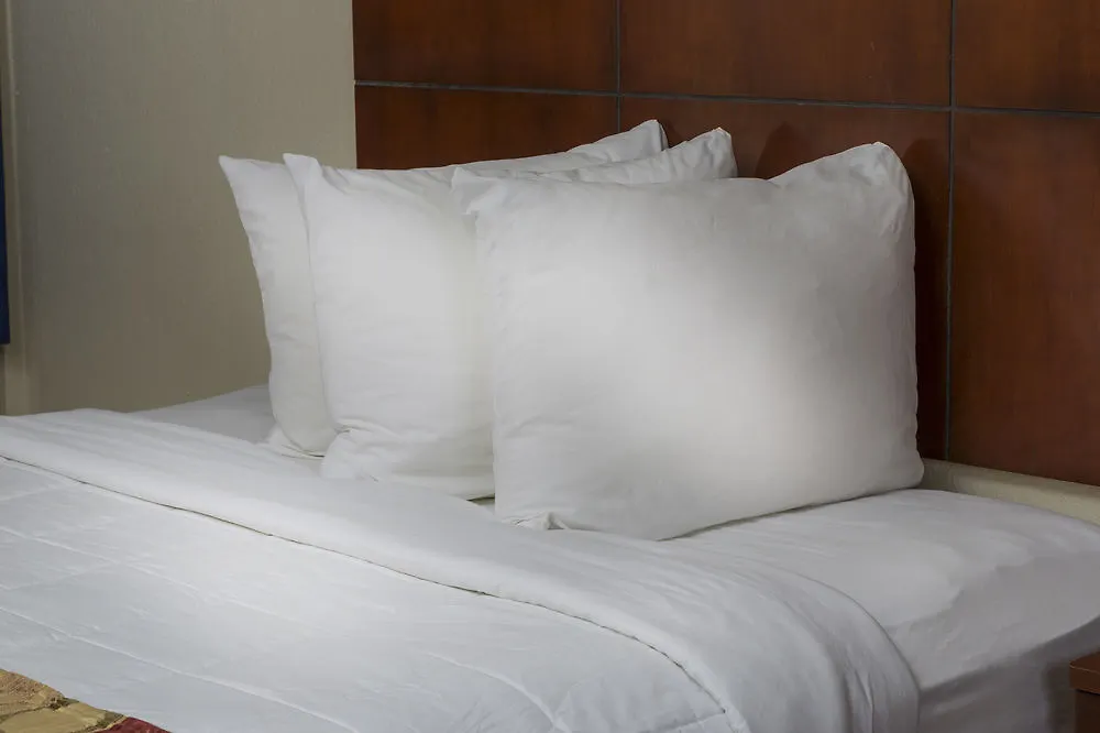 Hotel Ramada By Wyndham Flamingo Water Park