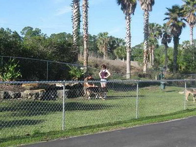 Tropical Palms & * Kissimmee
