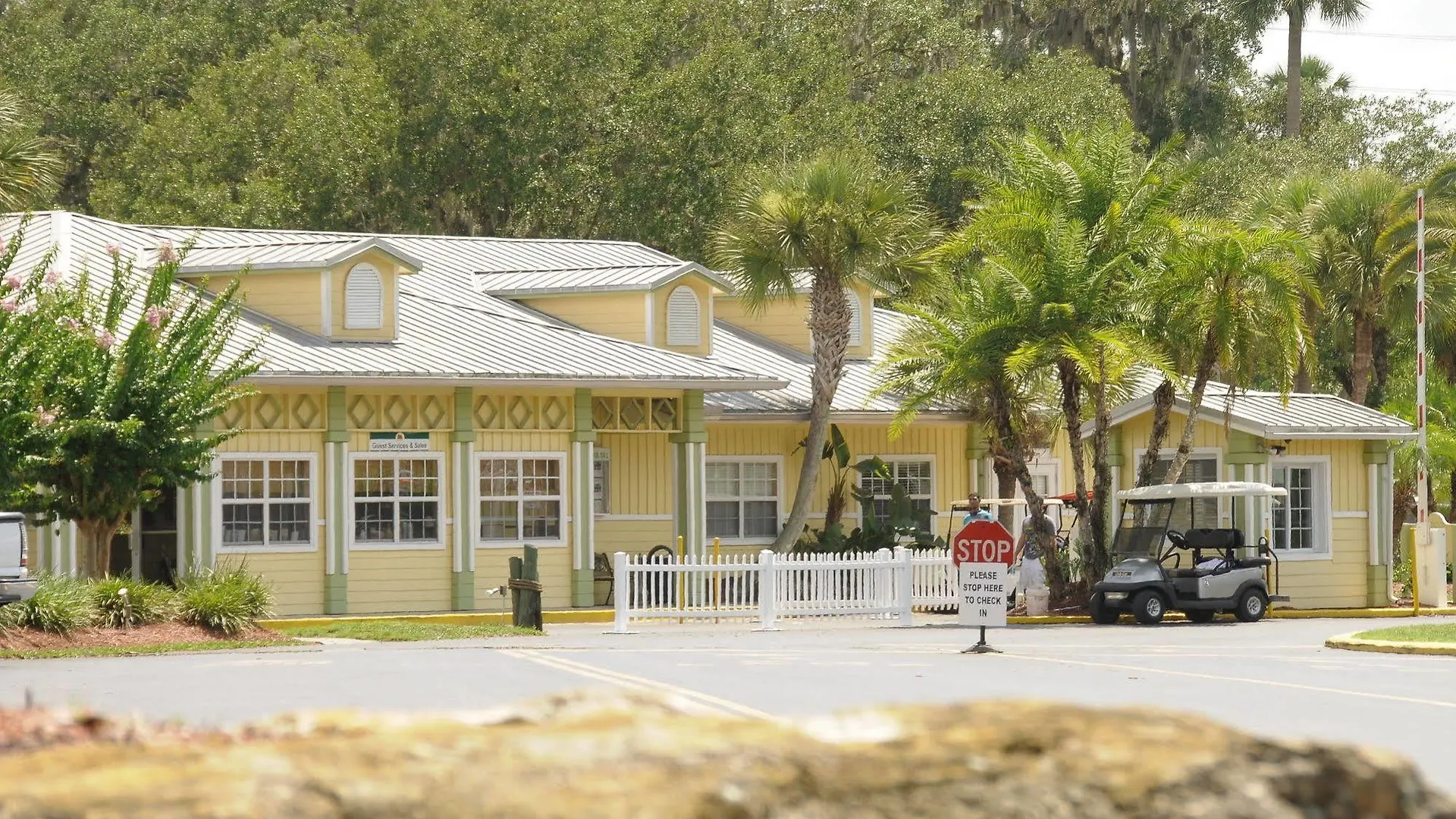 Lodge Tropical Palms &
