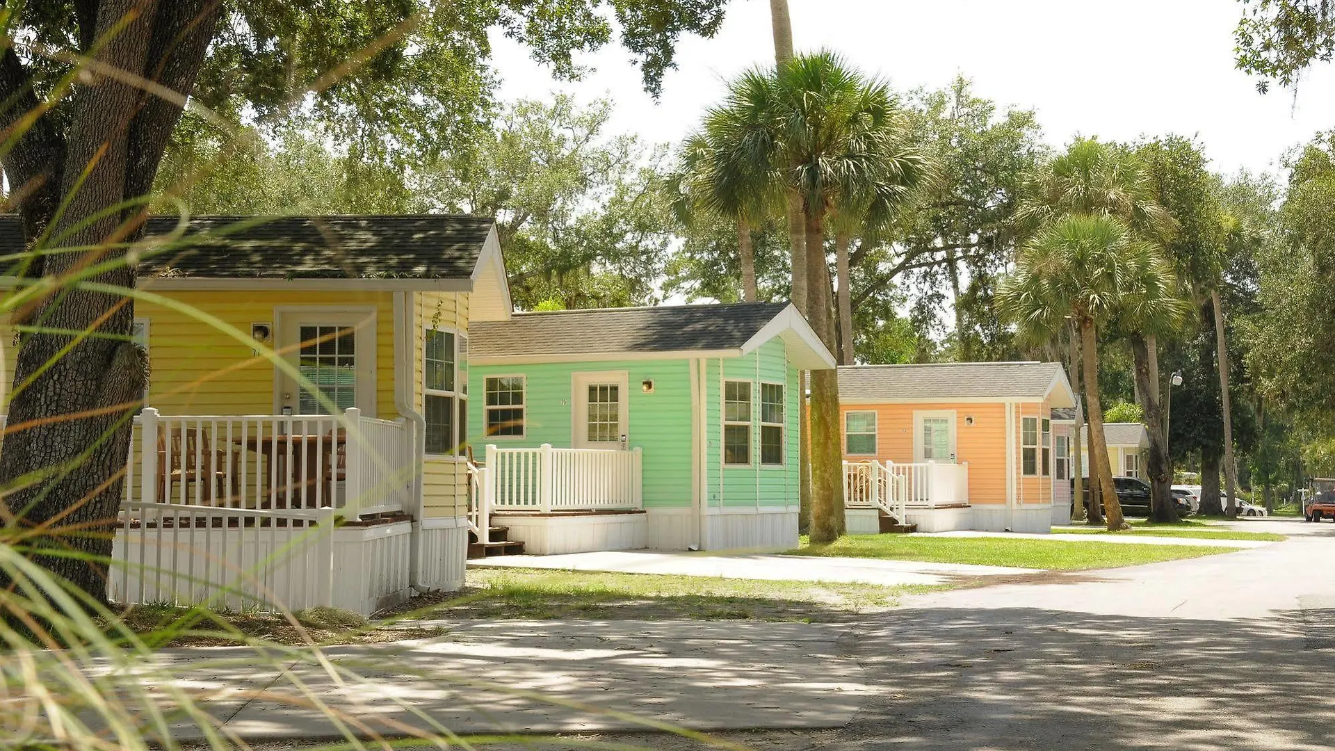 Lodge Tropical Palms & *