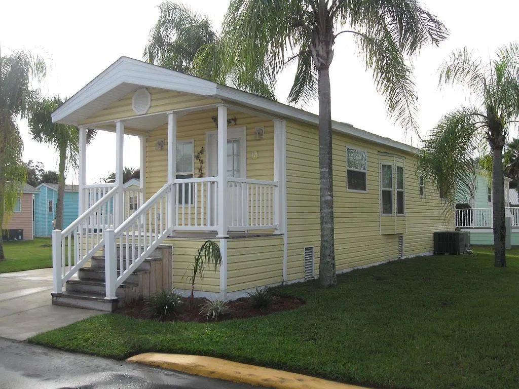 Tropical Palms & Kissimmee