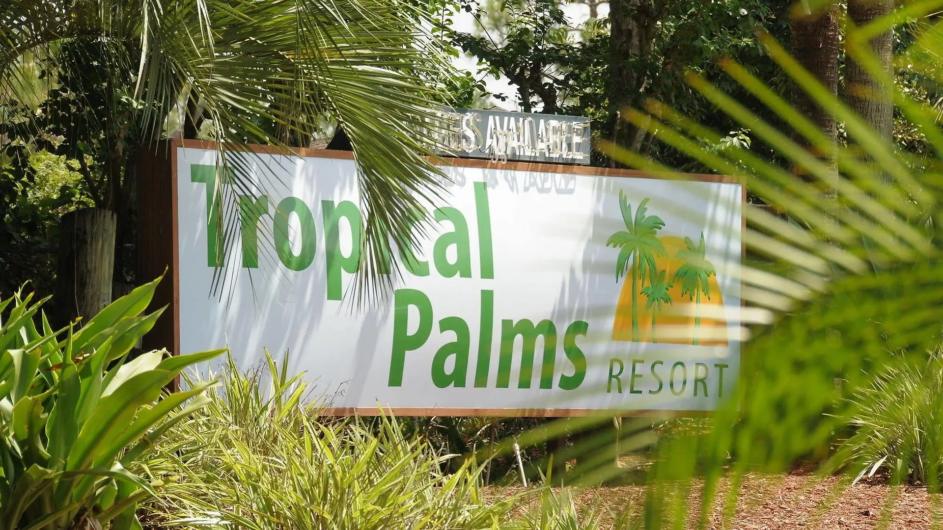 Lodge Tropical Palms & Kissimmee