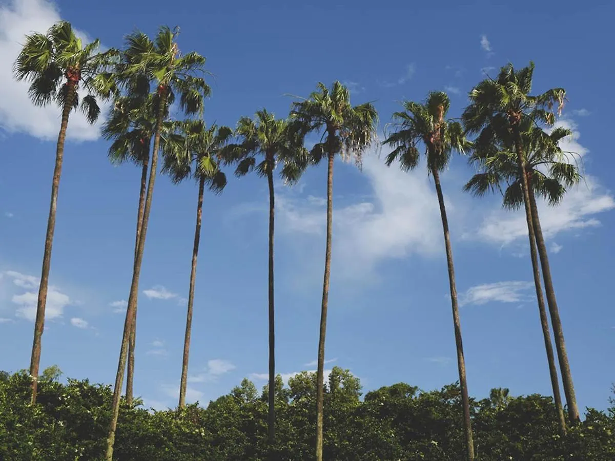 ヴィラ Luxury 4 Bedroom Townhome On Paradise Palms Resort, Orlando Townhome 3272