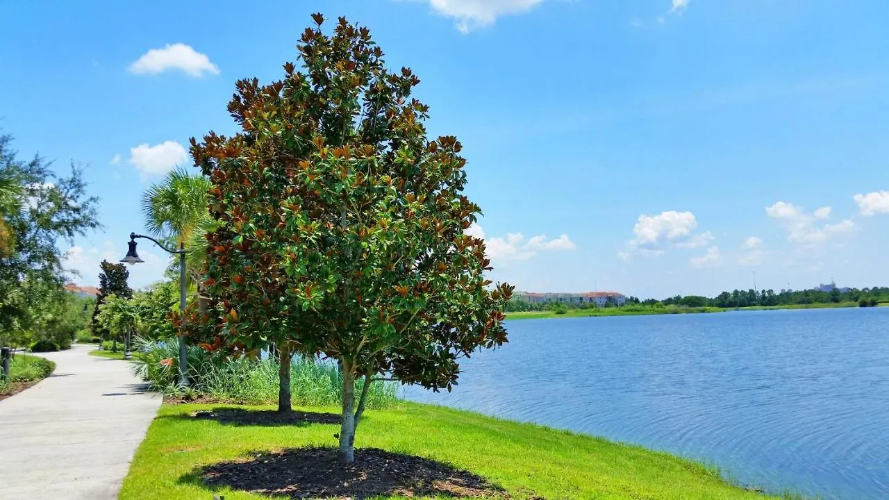 Stunning Lakeview Wprivate Balcony
