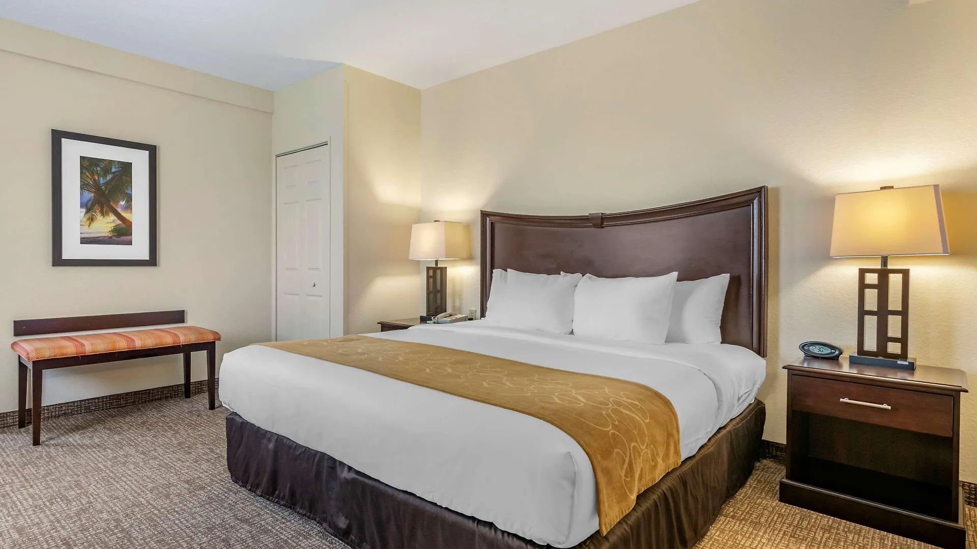Comfort Maingate East Селебрейшн