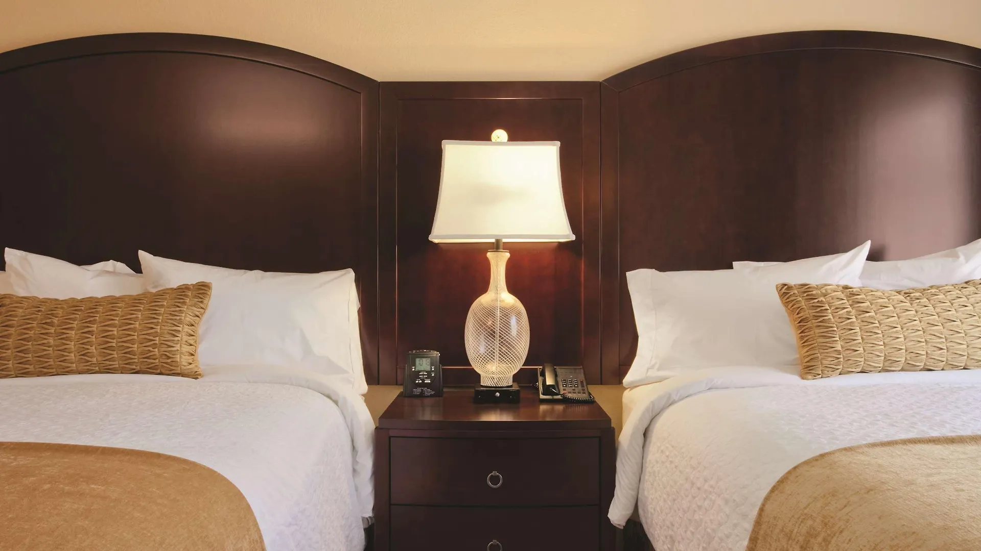 Hotel Embassy By Hilton Orlando Buena Vista South 4*