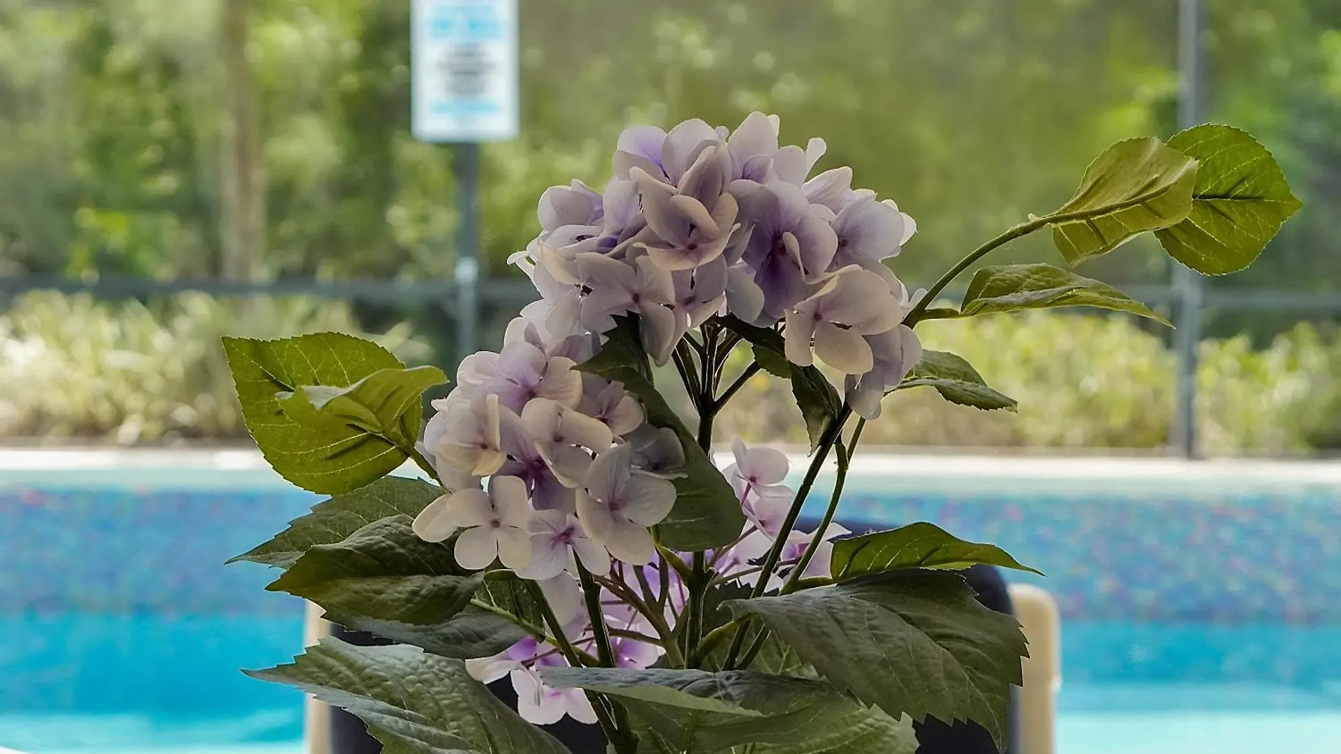 Hébergement de vacances Tropical Escape: Pool,spa & Themed Game Kissimmee