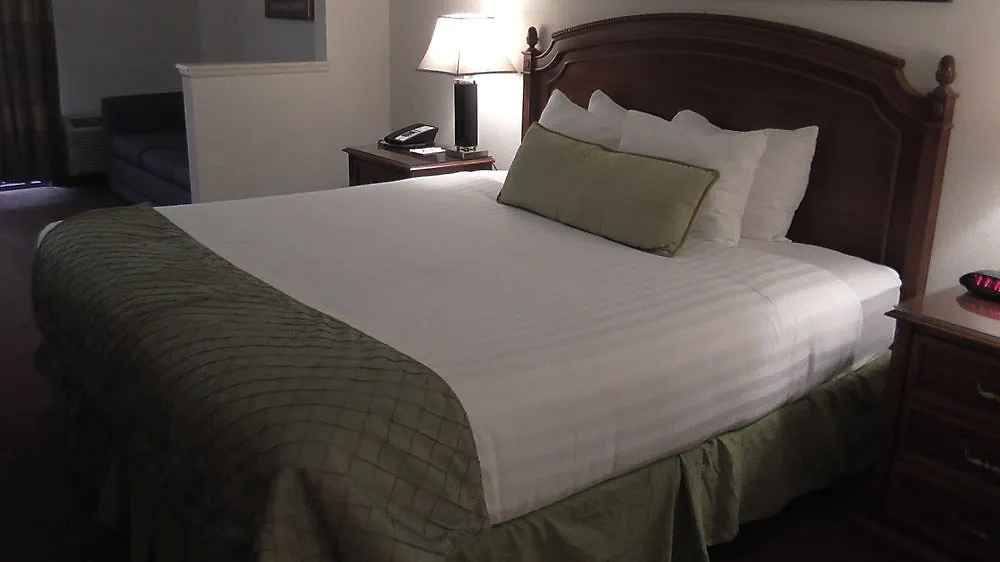 Ramada By Wyndham Downtown 3*